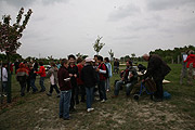 fotos