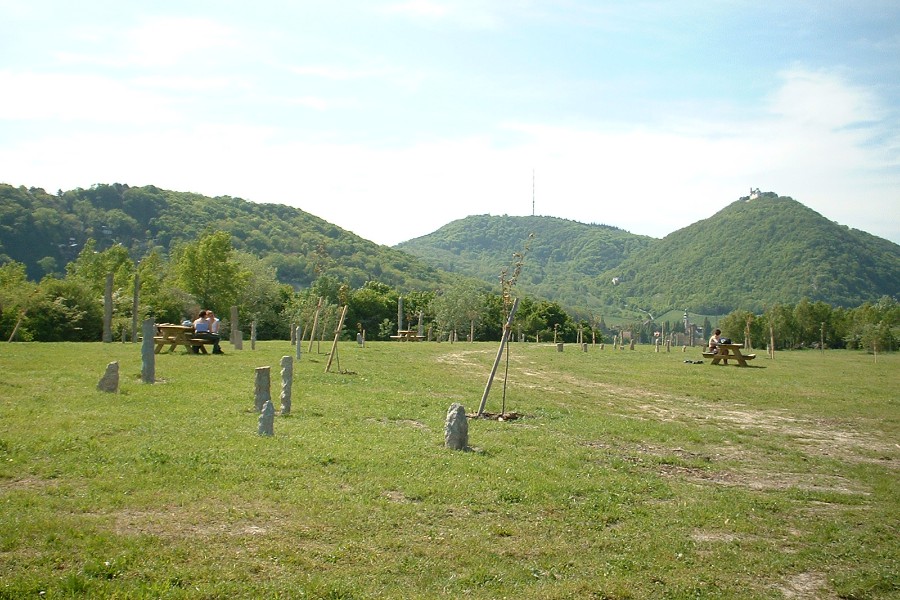 DSCF0002