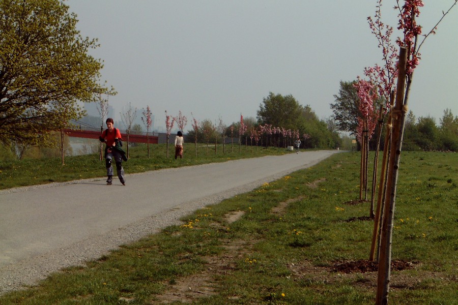 DSCF1546