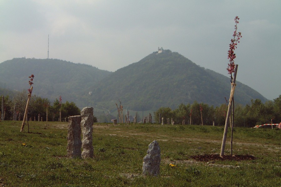 DSCF1549