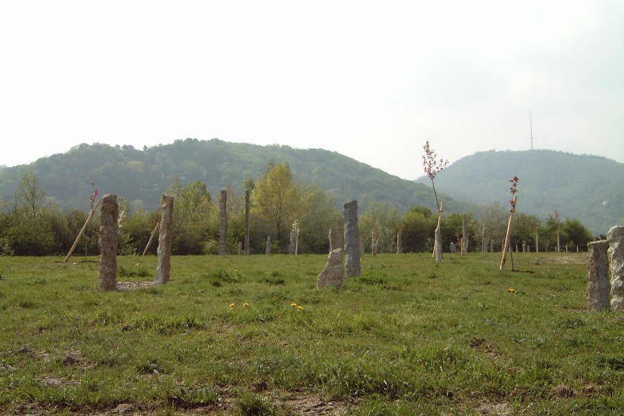 DSCF1553