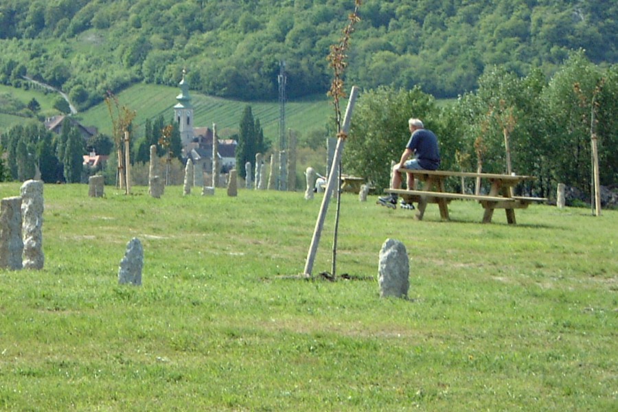 DSCF1937