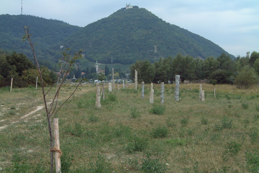 DSCF2868