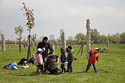 2009