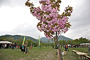 fotos