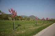 fotos
