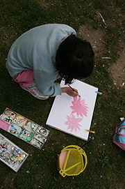 fotos