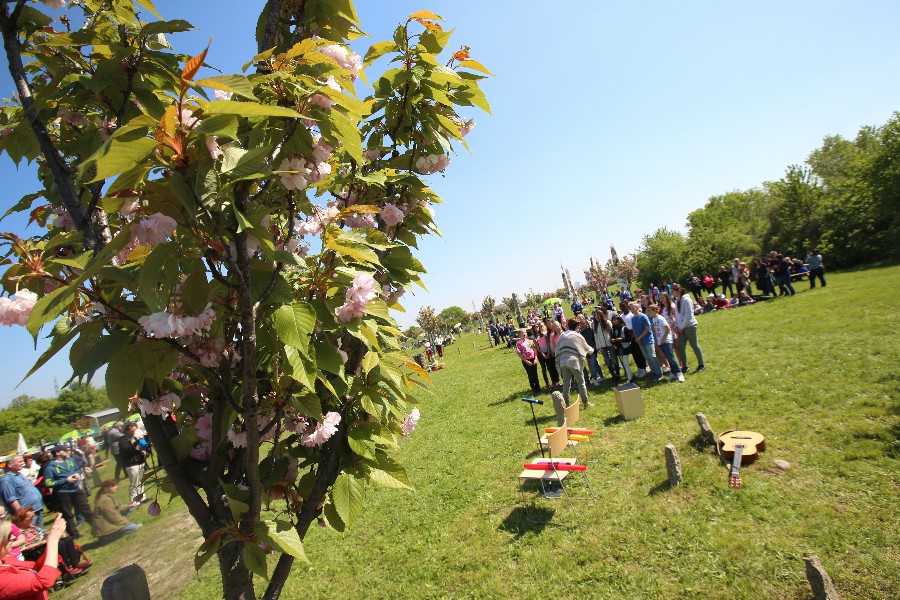 MFM_0769