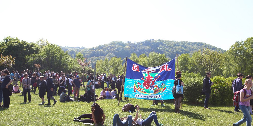 MFM_1719