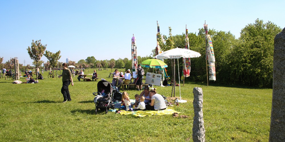 MFM_1800