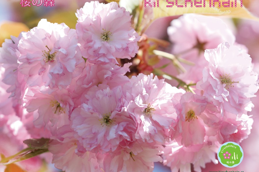 kh_fotowand_2022_out_003